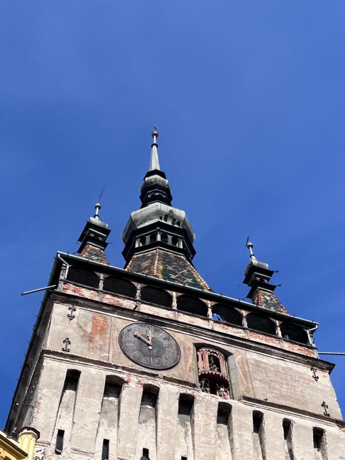 Made In Transilvania Sighişoara Exteriör bild