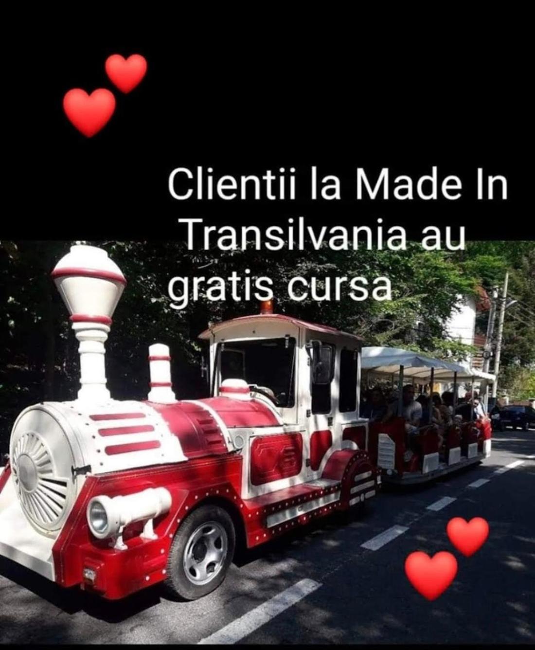 Made In Transilvania Sighişoara Exteriör bild